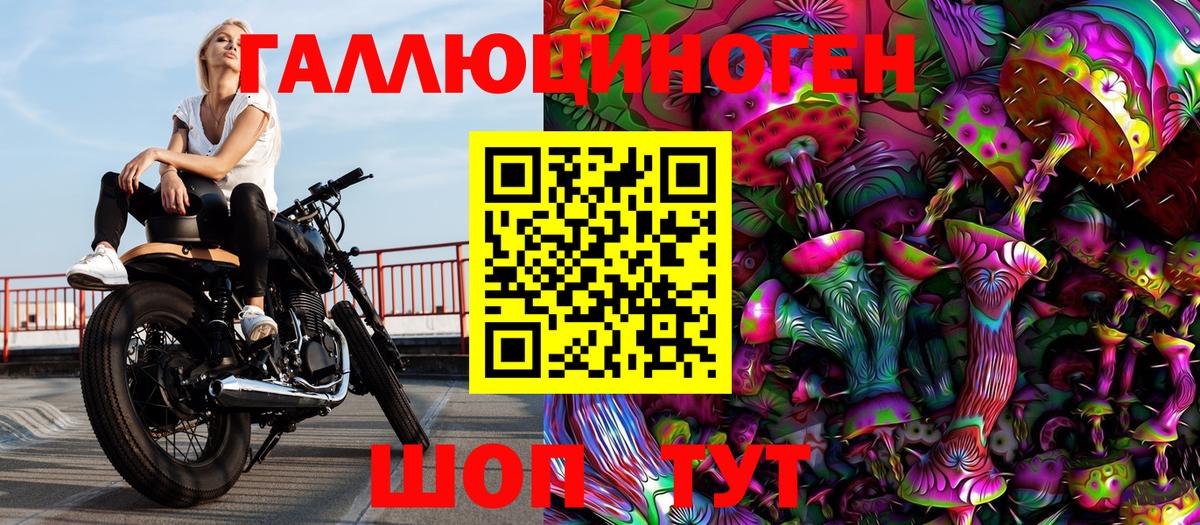 Псилоцибиновые грибы прущие грибы  Галлюциногенные грибы Psilocybe  Унеча  Вход с VPN 